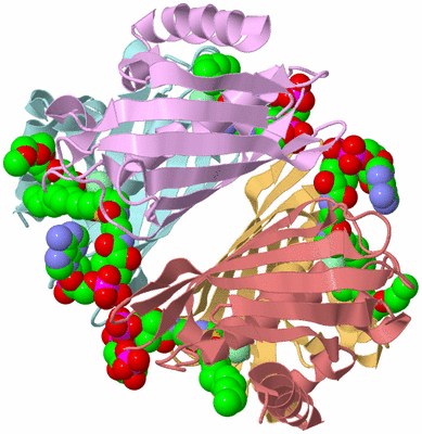 Image Biological Unit 2