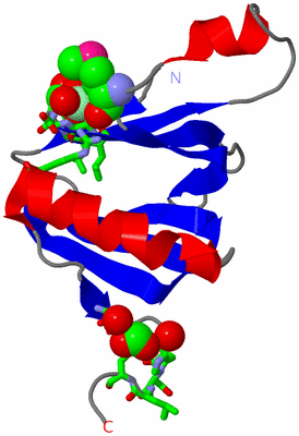 Image Asym. Unit - sites