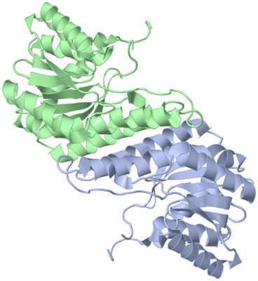 Image Asym./Biol. Unit