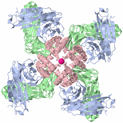 Image Biological Unit 1