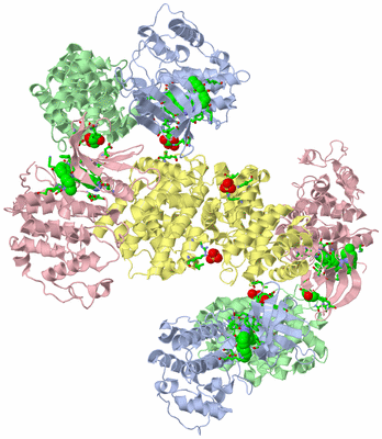 Image Biol. Unit 1 - sites