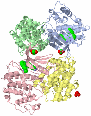 Image Biological Unit 2