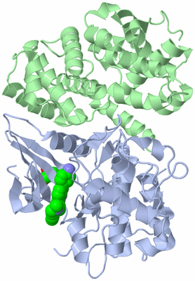 Image Biological Unit 3