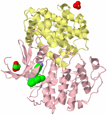 Image Biological Unit 4