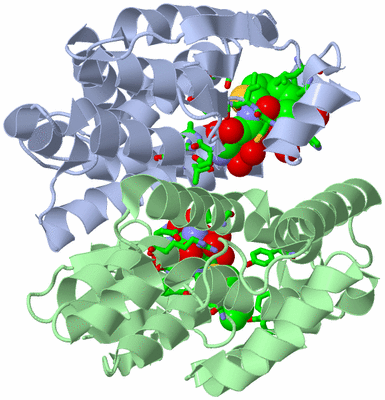 Image Asym./Biol. Unit - sites