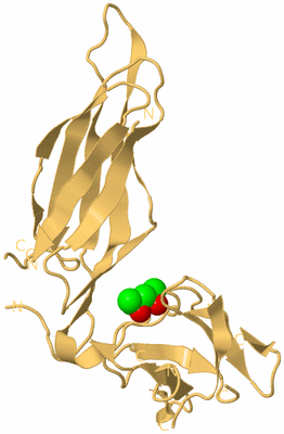 Image Biological Unit 7