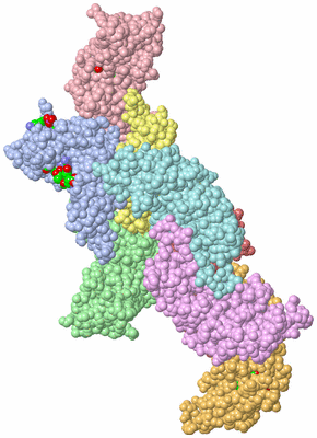 Image Asym. Unit - sites