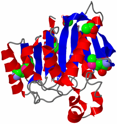 Image Asym./Biol. Unit