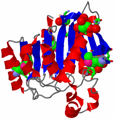 Image Asym./Biol. Unit - sites