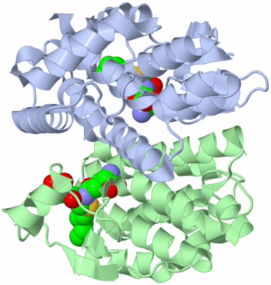 Image Asym./Biol. Unit