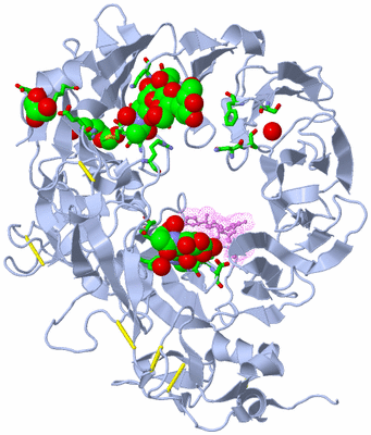 Image Asym./Biol. Unit - sites