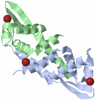 Image Biological Unit 1