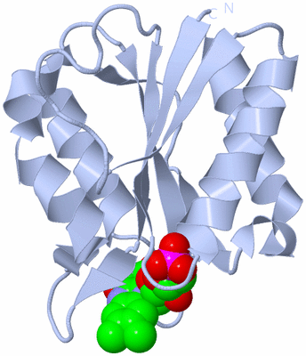 Image Biological Unit 1