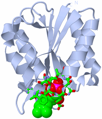 Image Biol. Unit 1 - sites