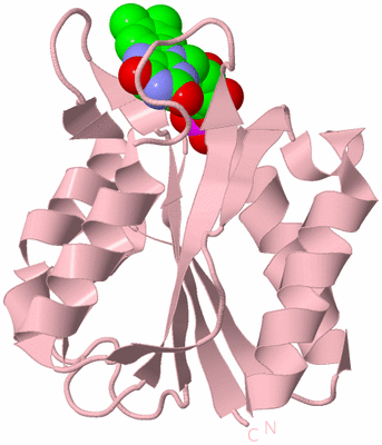 Image Biological Unit 3