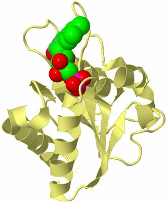 Image Biological Unit 3