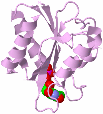 Image Biological Unit 4