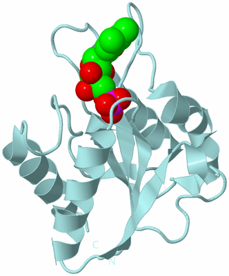 Image Biological Unit 5