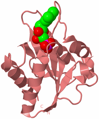 Image Biological Unit 6