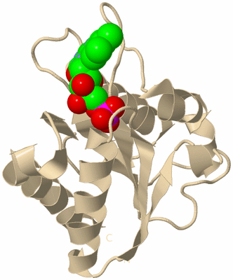 Image Biological Unit 7