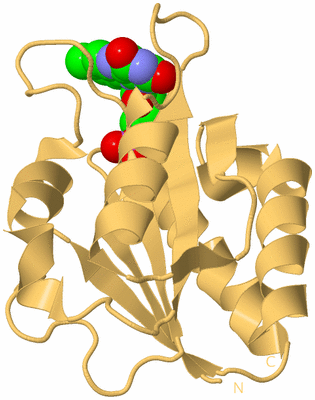 Image Biological Unit 8