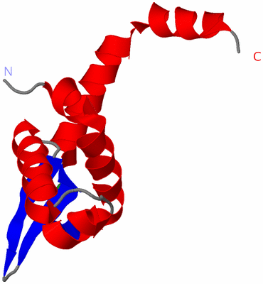 Image Asymmetric Unit