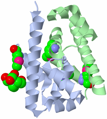 Image Biological Unit 2