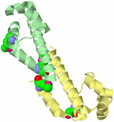 Image Biological Unit 3