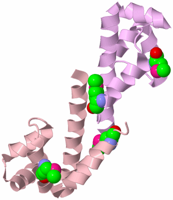 Image Biological Unit 4