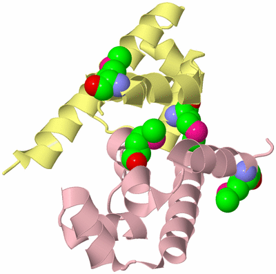 Image Biological Unit 5