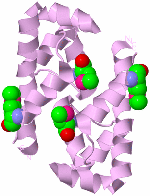 Image Biological Unit 6