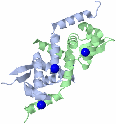 Image Biological Unit 1