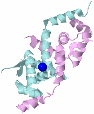 Image Biological Unit 3