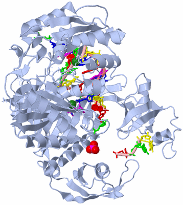 Image Biological Unit 1