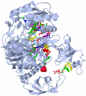 Image Biol. Unit 1 - sites