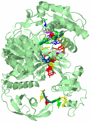 Image Biological Unit 2