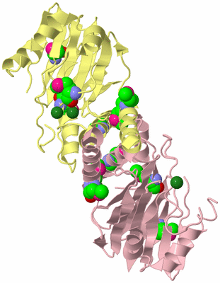 Image Biological Unit 2