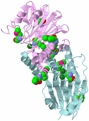 Image Biological Unit 3