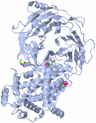 Image Biol. Unit 1 - sites