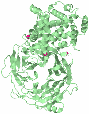 Image Biological Unit 2