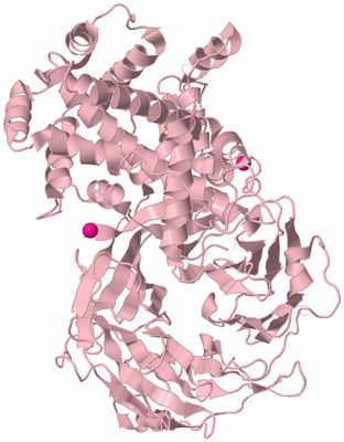 Image Biological Unit 3