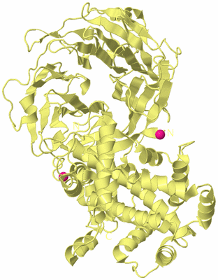 Image Biological Unit 4