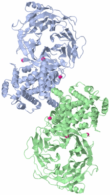 Image Biological Unit 5