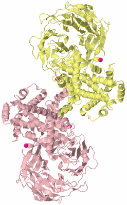 Image Biological Unit 6