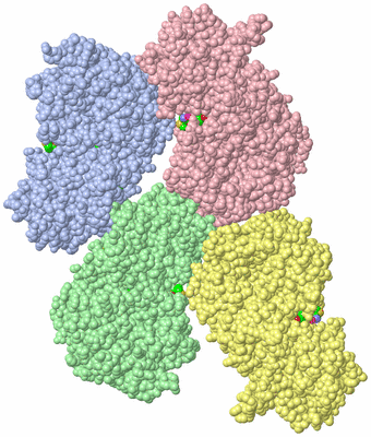 Image Asym. Unit - sites