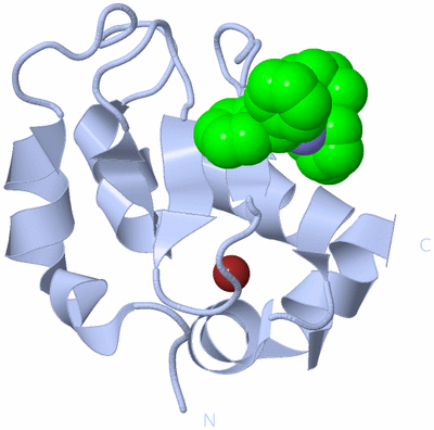 Image Biological Unit 1