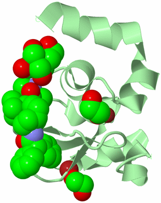 Image Biological Unit 2