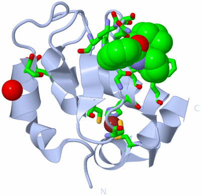 Image Biol. Unit 1 - sites