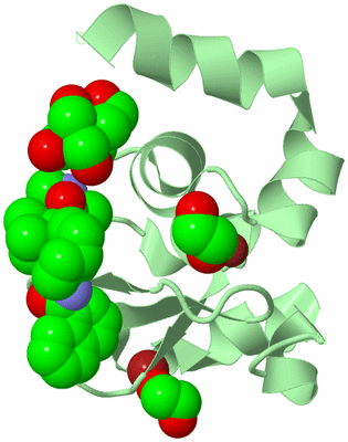 Image Biological Unit 2