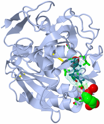 Image Biol. Unit 1 - sites